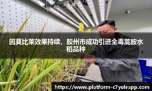 c7娱乐